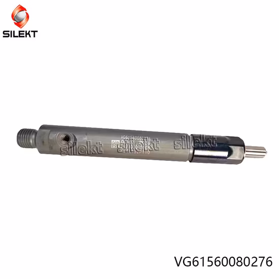 Injetor de combustível Vg1560080276 61560080276 Weichai Euro II Peças de motor de caminhão Injetor de combustível diesel Wd615 Str Egr Bico Common Rail Piunger